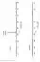 Fig. 08 - Method for atmospheric pressure analyte ionization