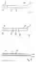 Fig. 02 - Dry reagent particle assay and device having multiple test zones and method therefor