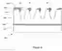 Fig. 10 - Organic triodes with novel grid structures and method of production