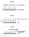 Fig. 05 - Liquid discharge head and manufacturing method thereof