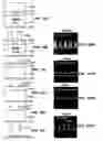 Fig. 23 - Hardware development to reduce bevel deposition