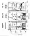 Fig. 05 - Compound semiconductor formed from a heated portion of a layered structure including rare earth transition metal