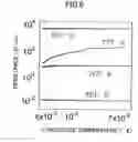 Fig. 07 - Compound semiconductor formed from a heated portion of a layered structure including rare earth transition metal
