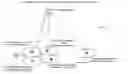Fig. 01 - Scalable multi-satellite spot beam architecture