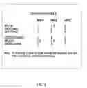 Fig. 06 - System for regulating use of an electronic device