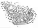Fig. 01 - Lacrosse stick head