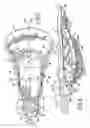 Fig. 03 - Lacrosse stick head