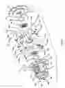 Fig. 05 - Helical gear differential