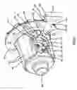 Fig. 08 - Helical gear differential