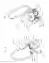 Fig. 17 - Continuously variable transmission