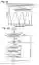 Fig. 33 - Engine system and method for enabling cylinder deactivation