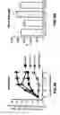 Fig. 06 - Method of increasing bone toughness and stiffness and reducing fractures