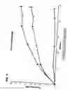 Fig. 10 - Method of increasing bone toughness and stiffness and reducing fractures