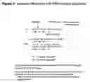 Fig. 08 - Methods and compositions for blocking progression of a disease state