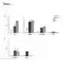 Fig. 06 - DNA vaccines encoding heat shock proteins
