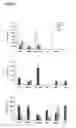 Fig. 07 - DNA vaccines encoding heat shock proteins