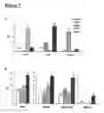 Fig. 08 - DNA vaccines encoding heat shock proteins