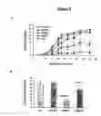 Fig. 10 - DNA vaccines encoding heat shock proteins