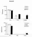 Fig. 12 - DNA vaccines encoding heat shock proteins