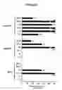 Fig. 15 - DNA vaccines encoding heat shock proteins