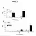 Fig. 19 - DNA vaccines encoding heat shock proteins