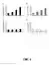 Fig. 05 - Compounds and methods for treating and screening viral reactivation