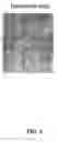 Fig. 06 - Compounds and methods for treating and screening viral reactivation