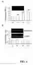 Fig. 07 - Compounds and methods for treating and screening viral reactivation