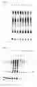 Fig. 04 - Vaccines