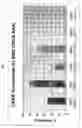Fig. 04 - Transcription factor RNA interference reagents and methods of use thereof