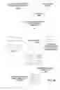 Fig. 07 - Multiple promoter expression cassettes for simultaneous delivery of RNAi agents targeted to Hepatitis C virus