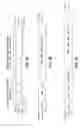 Fig. 10 - Multiple promoter expression cassettes for simultaneous delivery of RNAi agents targeted to Hepatitis C virus