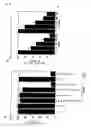 Fig. 05 - siRNA expression system and method for producing functional gene knock-down cell using the system
