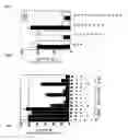 Fig. 07 - siRNA expression system and method for producing functional gene knock-down cell using the system