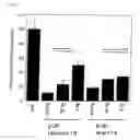 Fig. 09 - siRNA expression system and method for producing functional gene knock-down cell using the system