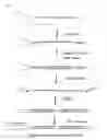Fig. 19 - siRNA expression system and method for producing functional gene knock-down cell using the system