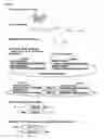 Fig. 25 - siRNA expression system and method for producing functional gene knock-down cell using the system