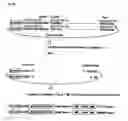 Fig. 26 - siRNA expression system and method for producing functional gene knock-down cell using the system