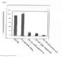 Fig. 31 - siRNA expression system and method for producing functional gene knock-down cell using the system