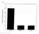 Fig. 32 - siRNA expression system and method for producing functional gene knock-down cell using the system