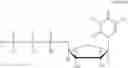 Fig. 07 - Method of enhancing drainage of lacrimal system with purinergic receptor agonists