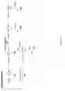 Fig. 07 - Non nucleoside reverse transcriptase inhibitors