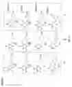 Fig. 131 - Non nucleoside reverse transcriptase inhibitors