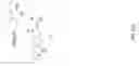 Fig. 137 - Non nucleoside reverse transcriptase inhibitors