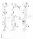 Fig. 33 - Non nucleoside reverse transcriptase inhibitors