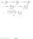 Fig. 53 - Non nucleoside reverse transcriptase inhibitors