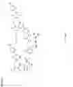 Fig. 67 - Non nucleoside reverse transcriptase inhibitors