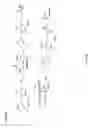 Fig. 74 - Non nucleoside reverse transcriptase inhibitors