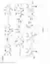 Fig. 83 - Non nucleoside reverse transcriptase inhibitors