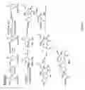 Fig. 98 - Non nucleoside reverse transcriptase inhibitors